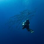 plongé sous marine x2